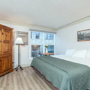 Mountainside 311 By Alpine Hotel Telluride